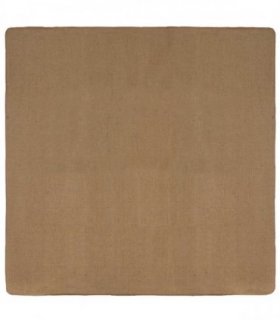 vidaXL Area Rugs Light Brown 200 x 200 cm Jute