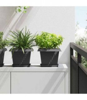 vidaXL Square Flower Tray 24 pcs Black 18 x 18 x 2 cm Plastic
