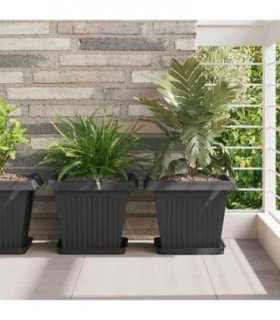 vidaXL Square Flower Tray 24 pcs Black 25.5 x 25.5 x 2.5 cm Plastic