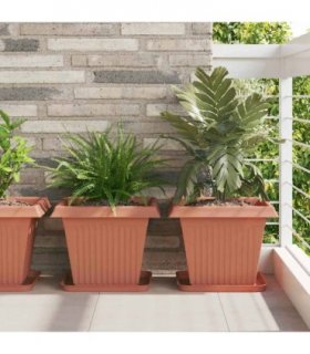 vidaXL Square Flower Tray 6 pcs Brick Red 32 x 32 x 2.5 cm Plastic