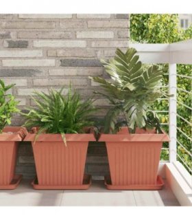 vidaXL Square Flower Tray 24 pcs Brick Red 36 x 36 x 2.5 cm Plastic — Size: 36 x 36 x 3 cm