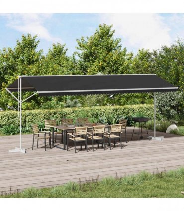 vidaXL Free Standing Awning Anthracite 6 x 3 m Polyester — Model: with white frame