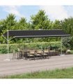 vidaXL Free Standing Awning Anthracite 6 x 3 m Polyester — Model: with white frame
