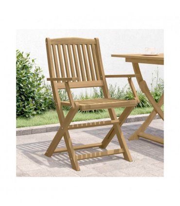 vidaXL Folding Garden Chairs 2 pcs 54x61x88 cm Solid Wood Acacia — Colour: light brown, Model: with armrest