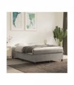 vidaXL Box Spring Bed Frame Light Grey Queen Velvet (US Only)