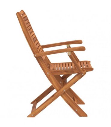 vidaXL Folding Garden Chairs 6 pcs 57x66x95 cm Solid Wood Acacia — Model: with armrest
