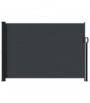 vidaXL Retractable Side Awning Black 300 x 170 cm Polyester — Size: 170 x 300 cm