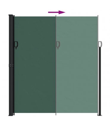 vidaXL Retractable Side Awning Dark Green 220x300 cm — Size: 220 x 300 cm