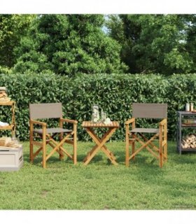 vidaXL Director Chair 100% Polyester Solid-Teak — Colour: Taupe