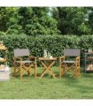 vidaXL Director Chair Brown and Light Grey Solid Teak Wood