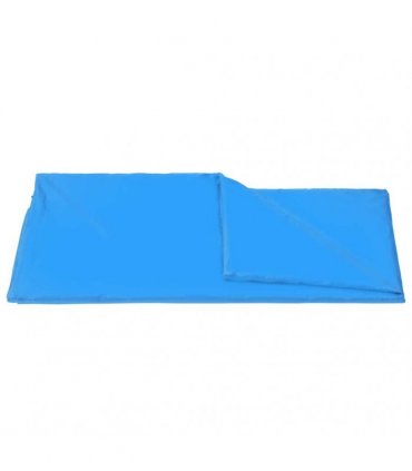 vidaXL Outdoor Tarp 3x2.85 m Blue — Size: 3 x 2.85 m