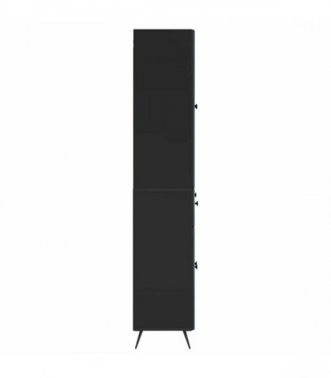 vidaXL 2 pcs Black