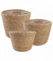 vidaXL Seagrass Plant Baskets 3 pcs Natural Ø26 x 19 cm 100% Seagrass — Model: Freestanding