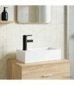 vidaXL Bathroom Wash Basin Matte Black 45.5 x 25.5 x 13 cm Metal — Model: Left