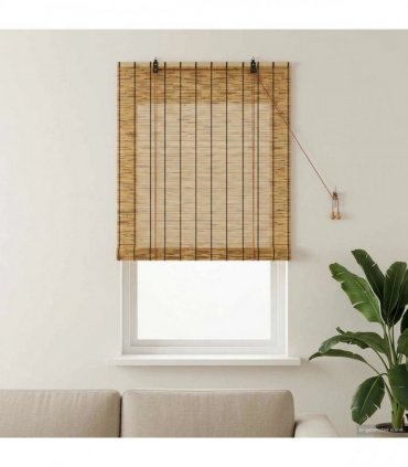 vidaXL Roller Blind Brown 100 x 160 cm Reed