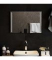 vidaXL LED Bathroom Mirror Transparent 60 x 40 cm Tempered Glass — V0672260093