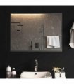 vidaXL LED Bathroom Mirror Transparent 80 x 60 cm Tempered Glass — V0672260107