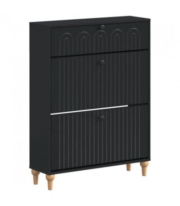 vidaXL Shoe Cabinet ALKMAAR 78 x 24 x 103 cm Engineered Wood Black