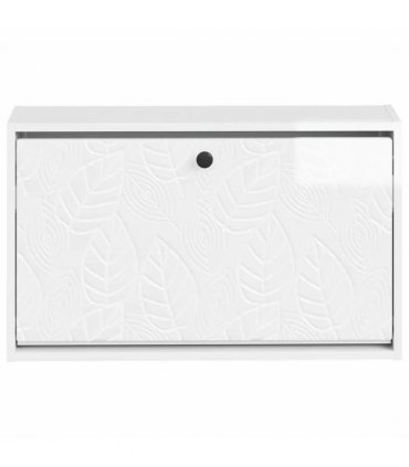 vidaXL Wall-Mounted Shoe Cabinet DELFT 71 x 17 x 43 cm Engineered Wood — Colour: High gloss white