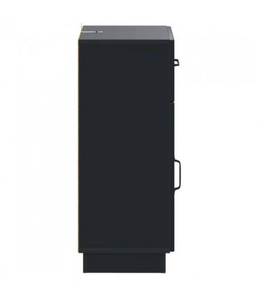 vidaXL Bathroom Storage Cainet HOORN Black 30 x 31 x 77 cm