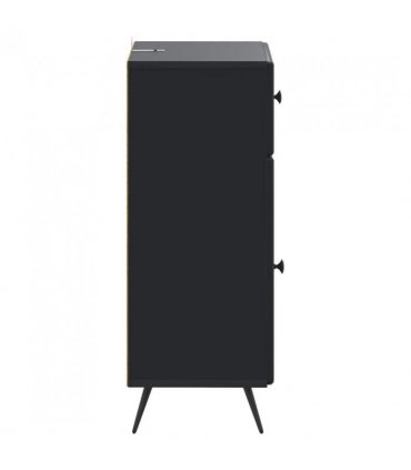 vidaXL Bathroom Storage Cainet BREDA Black 30 x 31 x 80 cm