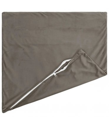 vidaXL Cushion with Pillow HEERLEN 2 pcs Light Grey Velvet — Size: 50 x 50 cm