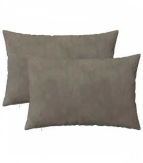 vidaXL Cushion with Pillow HEERLEN 2 pcs Light Grey Velvet — Size: 40 x 60 cm