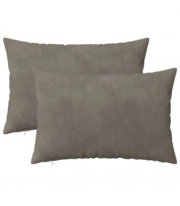 vidaXL Cushion with Pillow HEERLEN 2 pcs Light Grey Velvet — Size: 50 x 70 cm