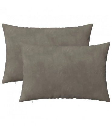 vidaXL Cushion with Pillow HEERLEN 2 pcs Light Grey Velvet — Size: 30 x 50 cm