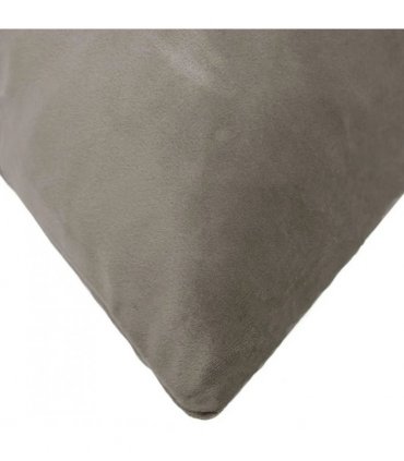 vidaXL Cushion with Pillow HEERLEN 2 pcs Light Grey Velvet — Size: 30 x 50 cm
