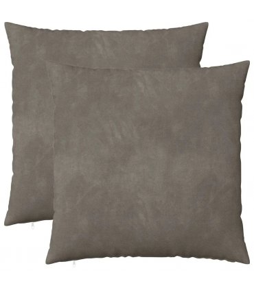 vidaXL Cushion with Pillow HEERLEN 2 pcs Light Grey Velvet — Size: 65 x 65 cm