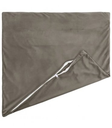 vidaXL Cushion with Pillow HEERLEN 2 pcs Light Grey Velvet — Size: 65 x 65 cm