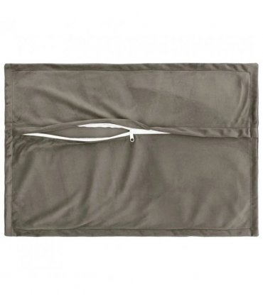 vidaXL Cushion Cover 2 pcs HOUTEN Light Grey 50 x 80 cm Velvet