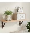 vidaXL Wall Shelf Brackets 2 pcs Antique Brown 14 x 14 x 4 cm Steel