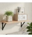 vidaXL Wall Shelf Brackets 2 pcs Black 10.5 x 10.5 x 3 cm Steel — Size: 10 x 10 cm