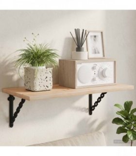 vidaXL Wall Shelf Brackets 12 pcs Black 21 x 21 x 3.5 cm Steel — Size: 21 x 21 cm