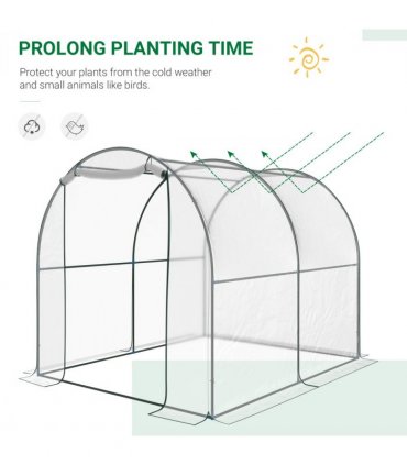 Walk in Transparent Greenhouse, Steel Frame, S size — Size: 2.5m x 2m x 2m