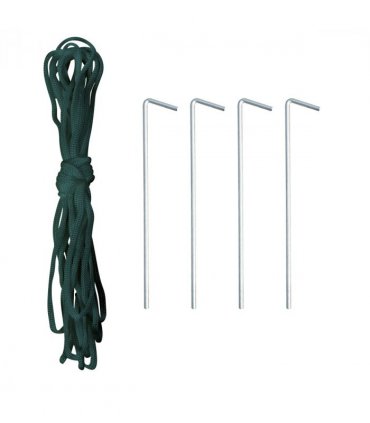Walk-in Greenhouse, 4 x 2 M-Green — Size: 4m x 2m x 1.9m