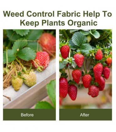 2x50m Weed Barrier Fabric Durable Convenient Design Weed Block Mat — Size: 2m x 50m