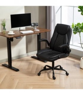 Office Chair/Massage Office Chair