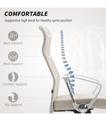Office Chair/Massage Office Chair