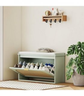Shoe Storage Cabinet