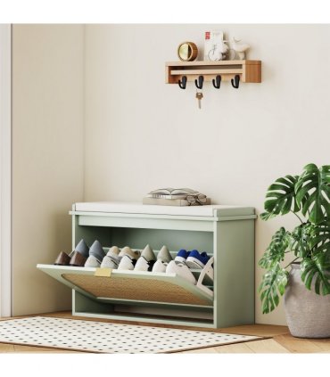 Shoe Storage Cabinet