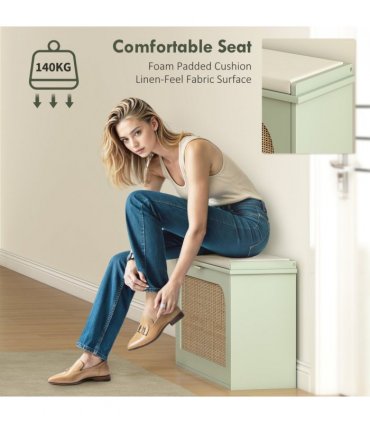 Shoe Storage Cabinet
