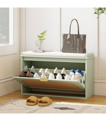 Shoe Storage Cabinet