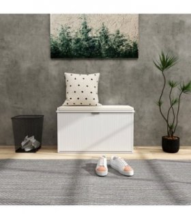 Shoe Storage Cabinet