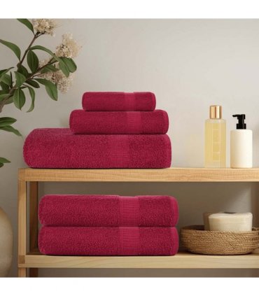 vidaXL Bath Towels FROGN 2 pcs Bordeaux 100 x 150 cm 360 100% Cotton