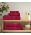 vidaXL Bath Towels FROGN 4 pcs Bordeaux 100 x 150 cm 360 100% Cotton