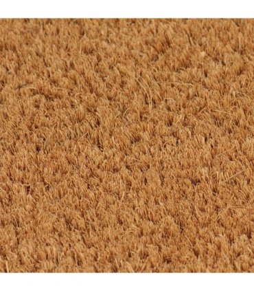 vidaXL Door Mats 5 pcs Natural 40x60 cm Tufted Coir