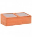 vidaXL Greenhouse Wood 100x50x34 cm